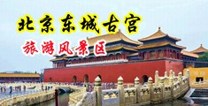乱伦村姑av小说中国北京-东城古宫旅游风景区
